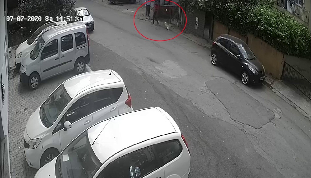Evin bahçesindeki köpeklerin çalındığı anlar kamerada