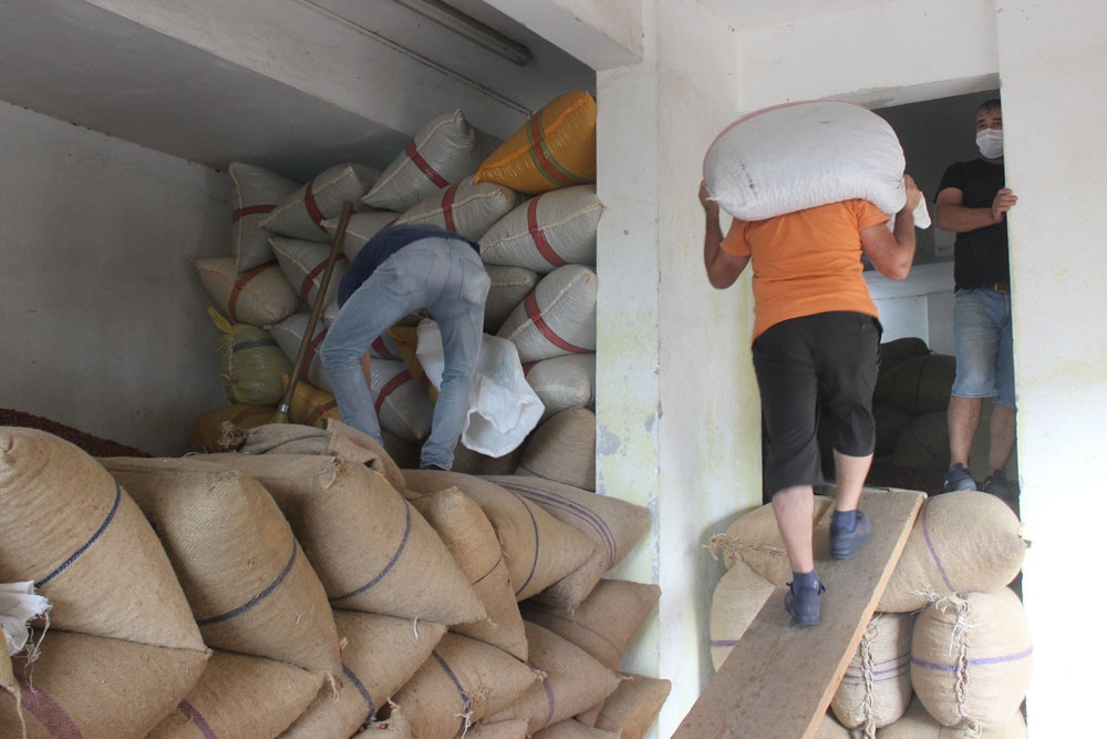 Eylül ayı içerisinde 33 bin 471 ton fındık ihraç edildi