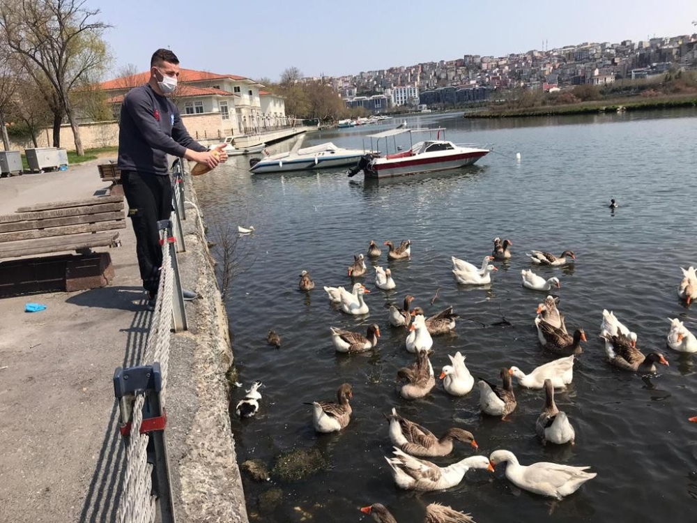 Eyüpsultan’da sokak hayvanları unutulmadı