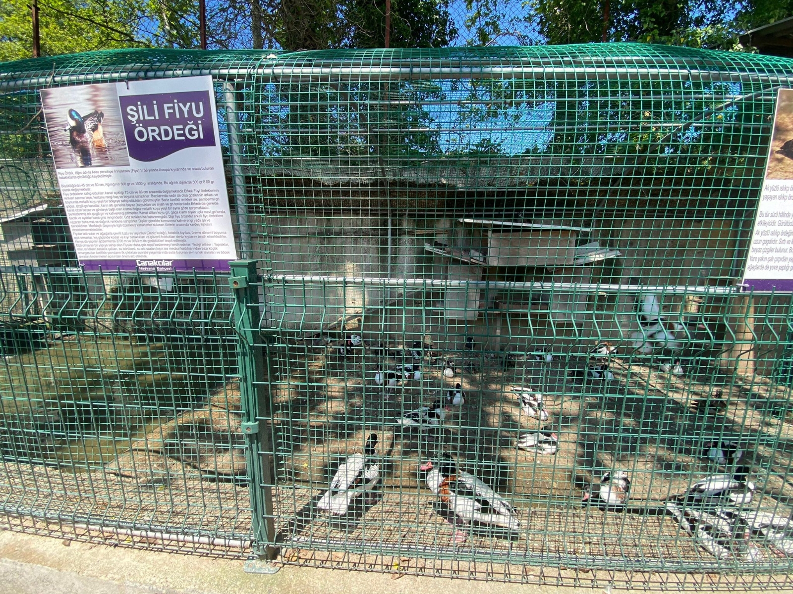 Fabrikaya dev hayvanat bahçesi kurdular, 1,5 milyon ziyaretçiyi ağırladılar