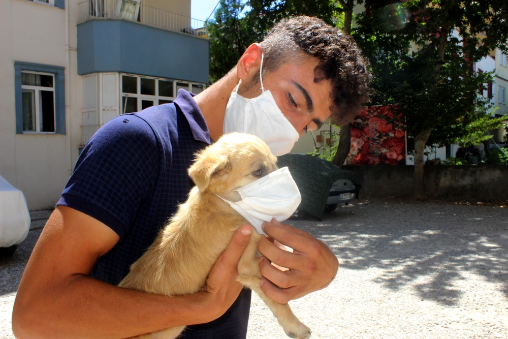 Farkındalık olsun diye köpeğini maskeyle gezdiriyor
