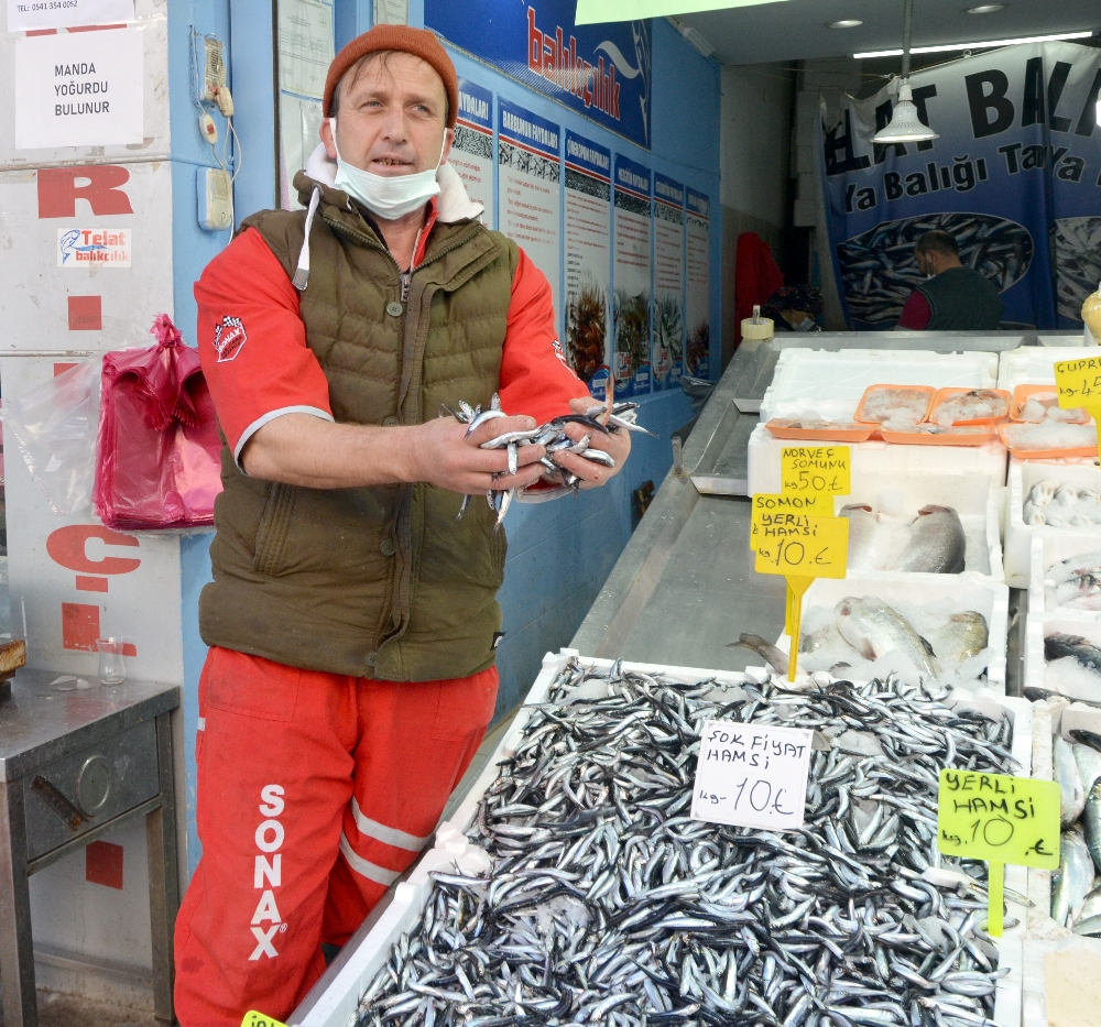 Fatsa’da yerli hamsi 10 TL