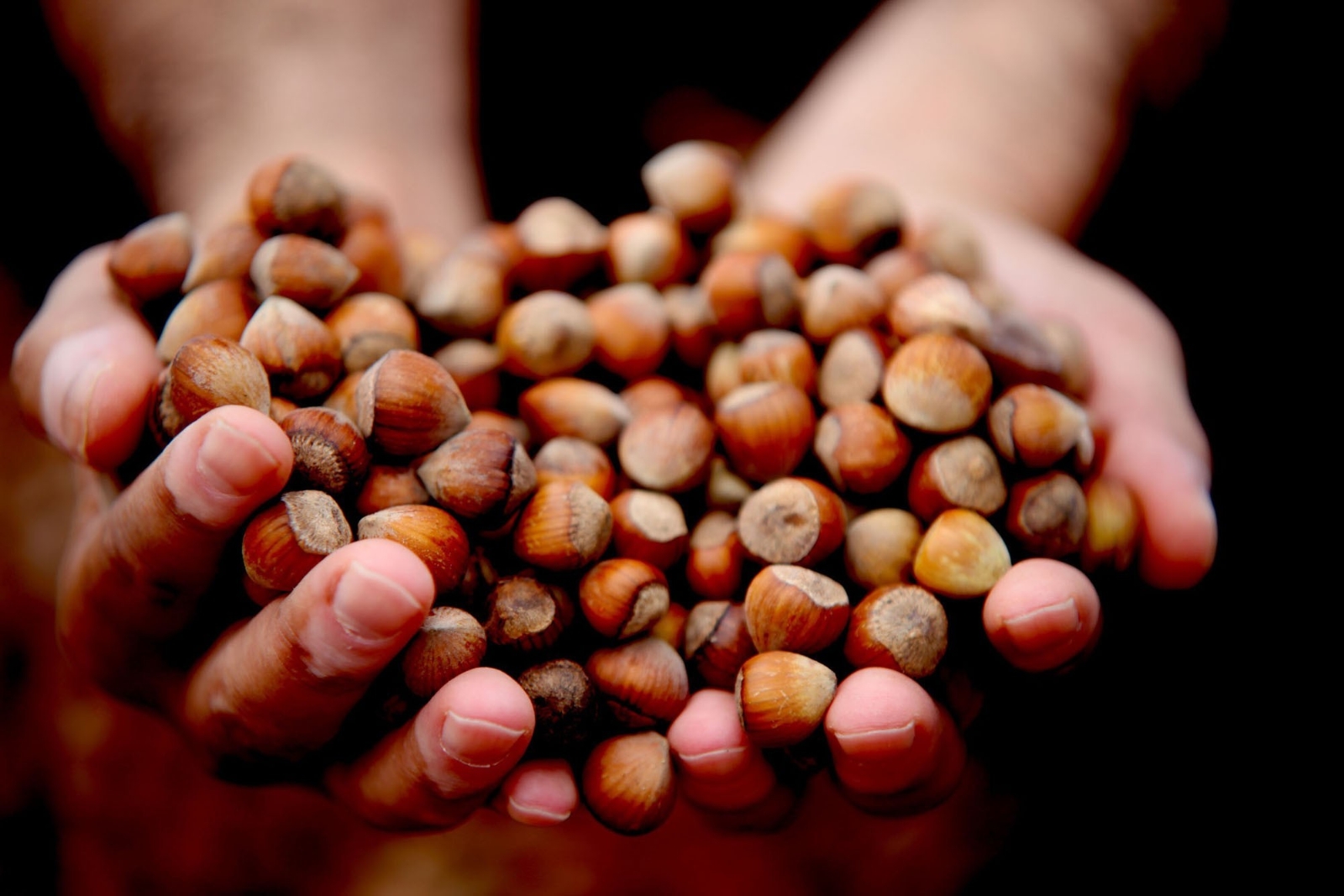 Fındık fiyatı haftayı 23,75 liradan kapatıyor