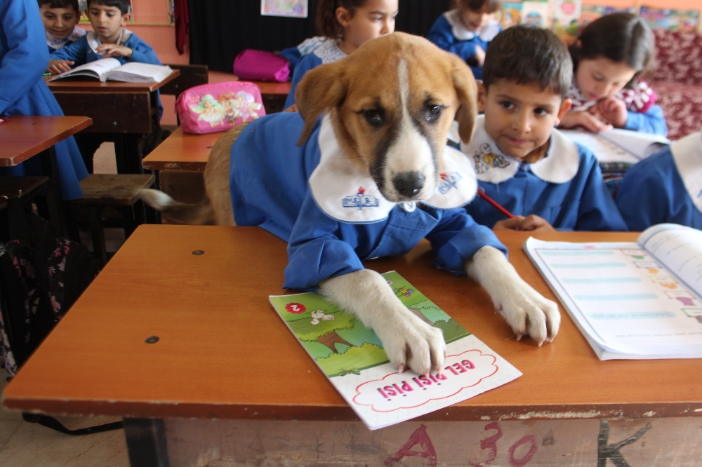 Fındık’tan üzücü haber