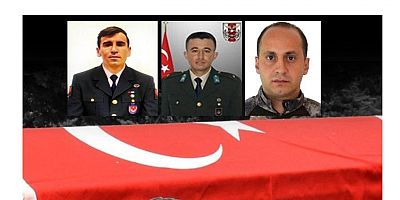 Fırat Kalkanı ve Pençe Kilit operasyonunda 2 asker ve 1 polis şehit oldu