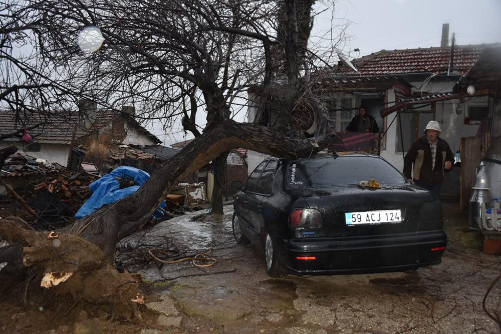 Fırtınaya dayanmayan ağaç aracın üstüne devrildi