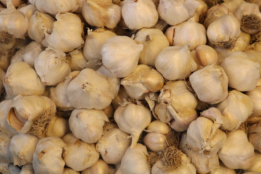 Fiyatı 9 Kat Arttı, Tane İle Satılıyor