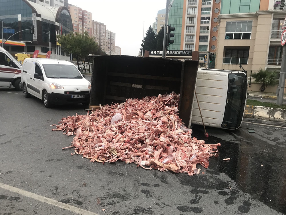 Freni tutmayan kemik yüklü kamyonet kendi kendine ilerleyip devrildi