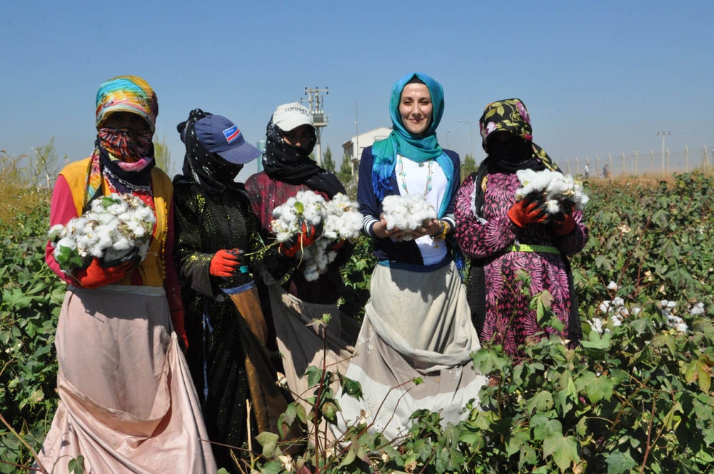 Gapta Sulama Şebekelerinin Yüzde 53Ü Tamamlandı