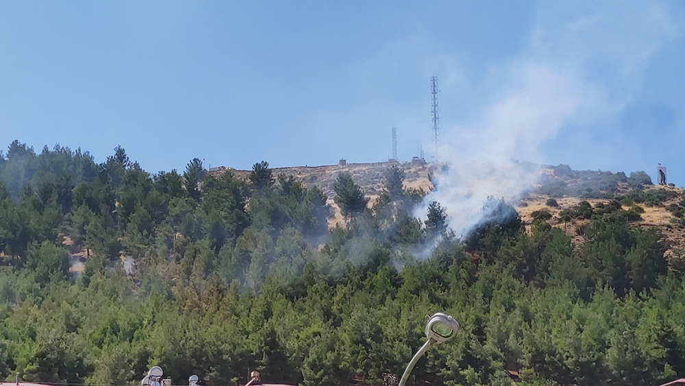 Gaziantep’te orman yangını