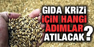 Gıda krizi için hangi adımlar atılacak?
