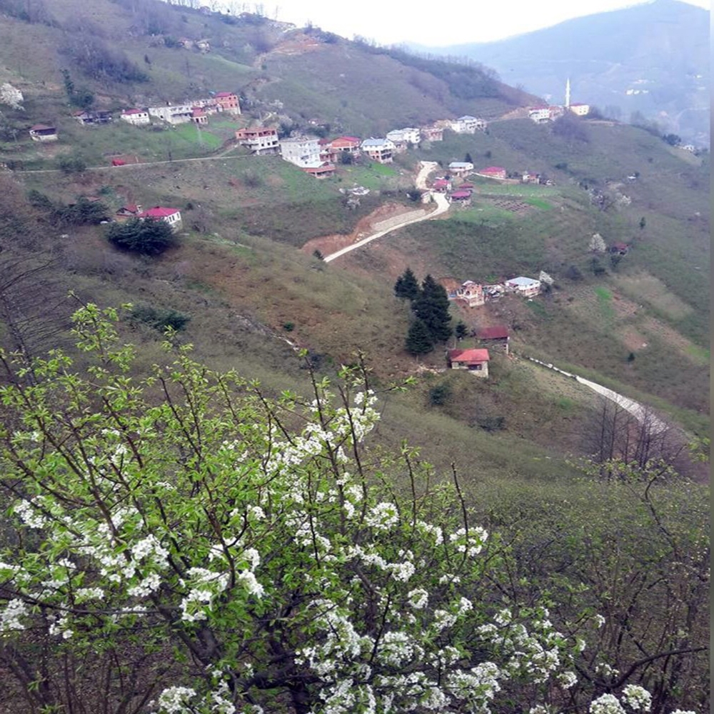 Giresun’da bir köy daha karantinaya alındı
