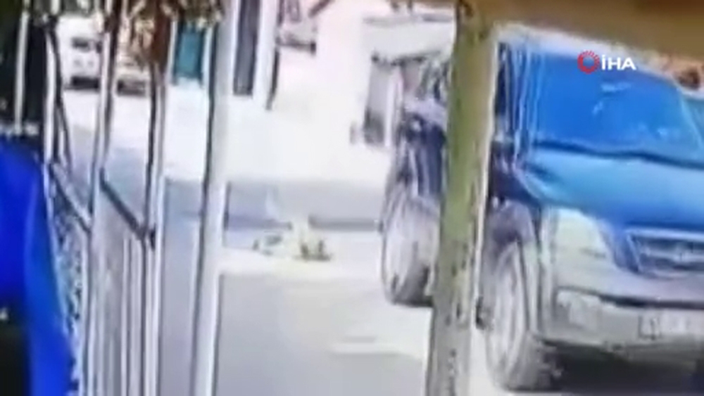 Göz göre göre cipi ile köpeğin üzerinden geçti