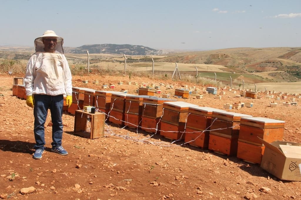 Gramı 500 TL olan arı zehri Adıyaman’da üretilmeye başlandı