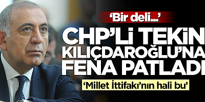 Gürsel Tekin Kılıçdaroğlu’na  “Deli” dedi