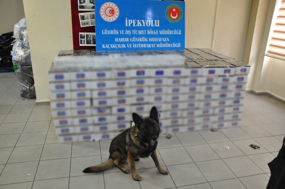 Habur Sınır Kapısında 74 Bin Paket Kaçak Sigara Ele Geçirildi
