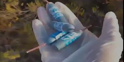 Hainler ormanlara bakın ne atmış! Güneşi görünce patlıyor