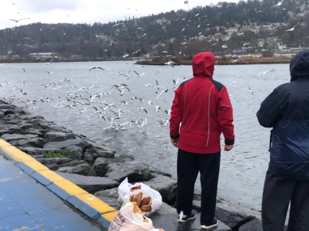 Haliç’te martı ve kazların yemek yeme sırası görenleri mest ediyor