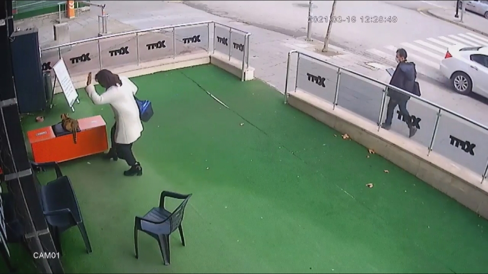 Hamile kediye vuran kadın yakalandı