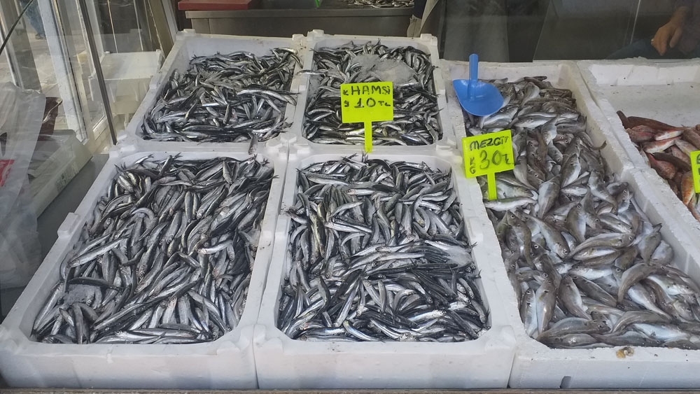 Hamsi bereketi vatandaşın cebine yaradı
