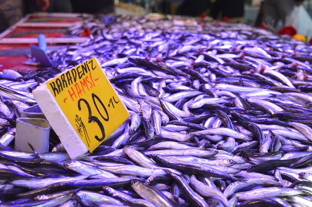 Hamsi fiyatlarında yükseliş sürüyor