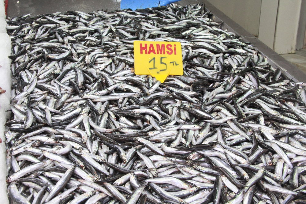 Hamsi yasağına ’buzhane’ çözümü