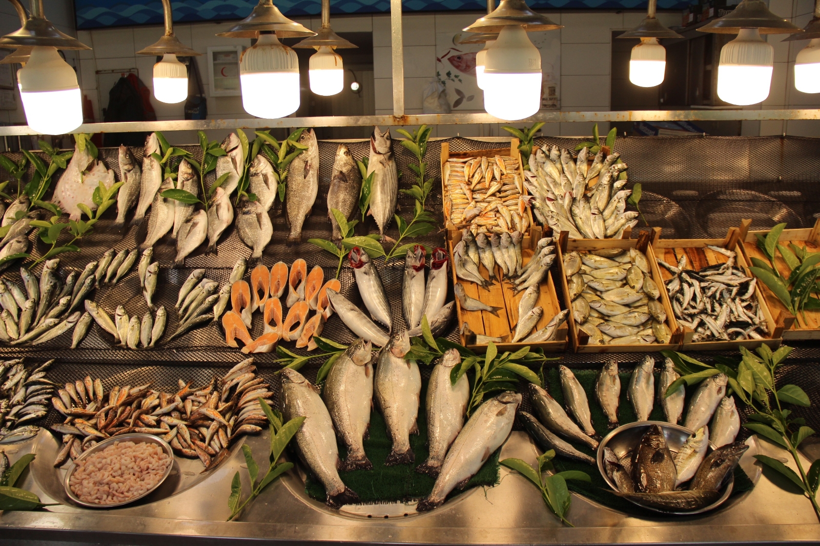 Hamsinin kilosu 50, istavrit 40 liradan satılıyor