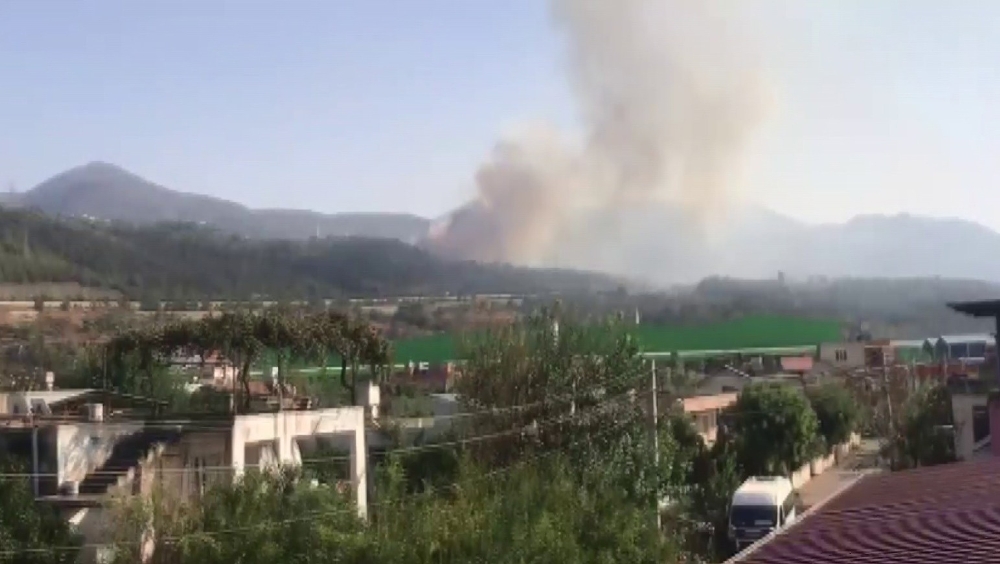 Hatay’da bir orman yangını daha
