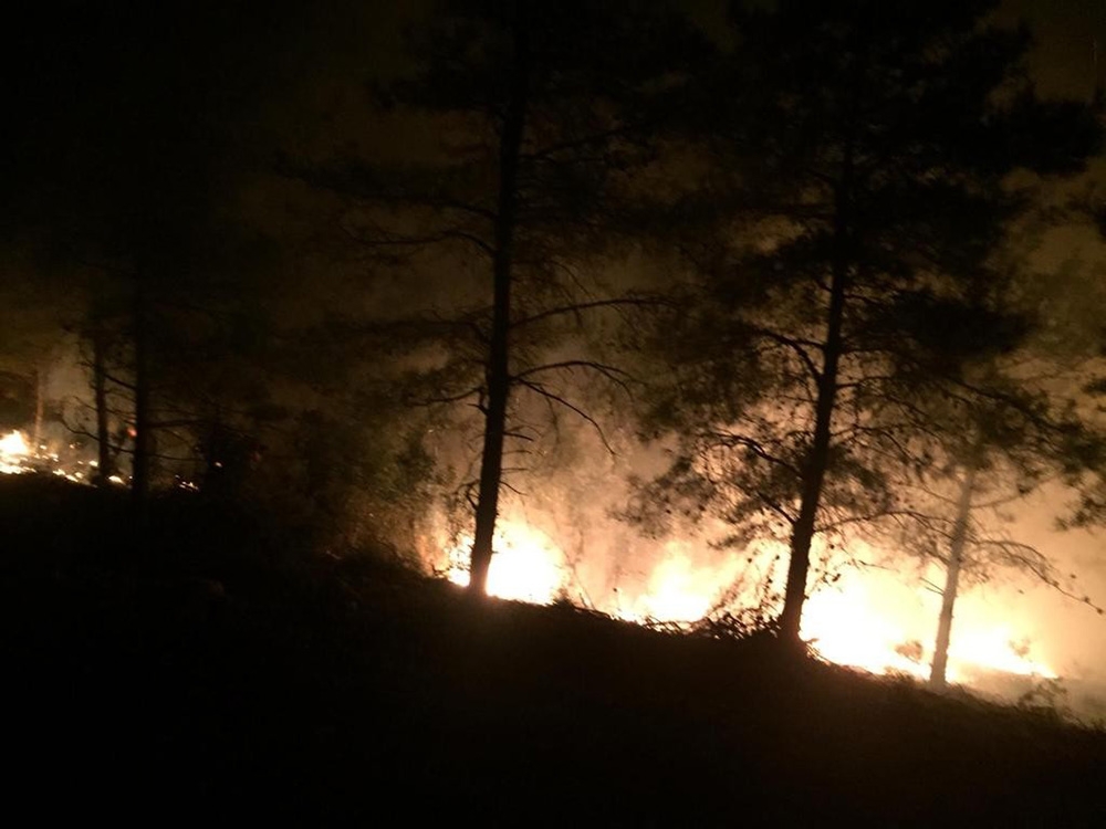 Hatay’da orman yangını
