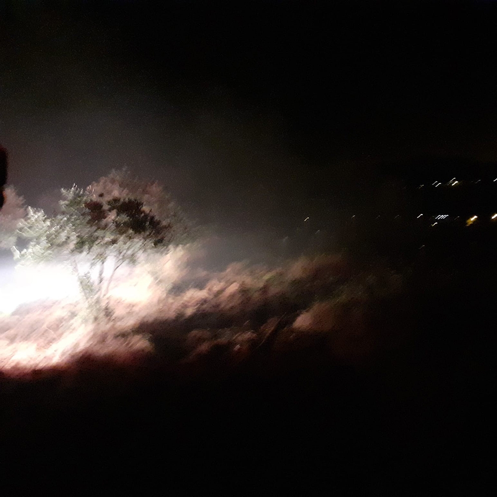 Hatay’da zeytinlik alanda korkutan yangın