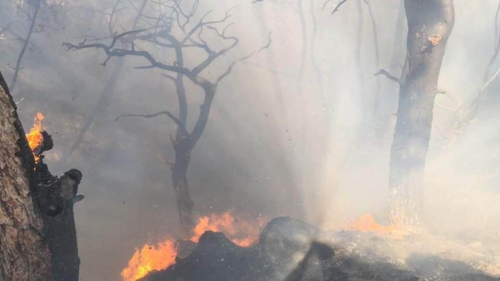 Hatay’daki yangın kontrol altına alınamıyor