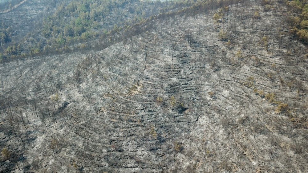 Hatay’daki yangında zarar gören orman alanları drone ile görüntülendi