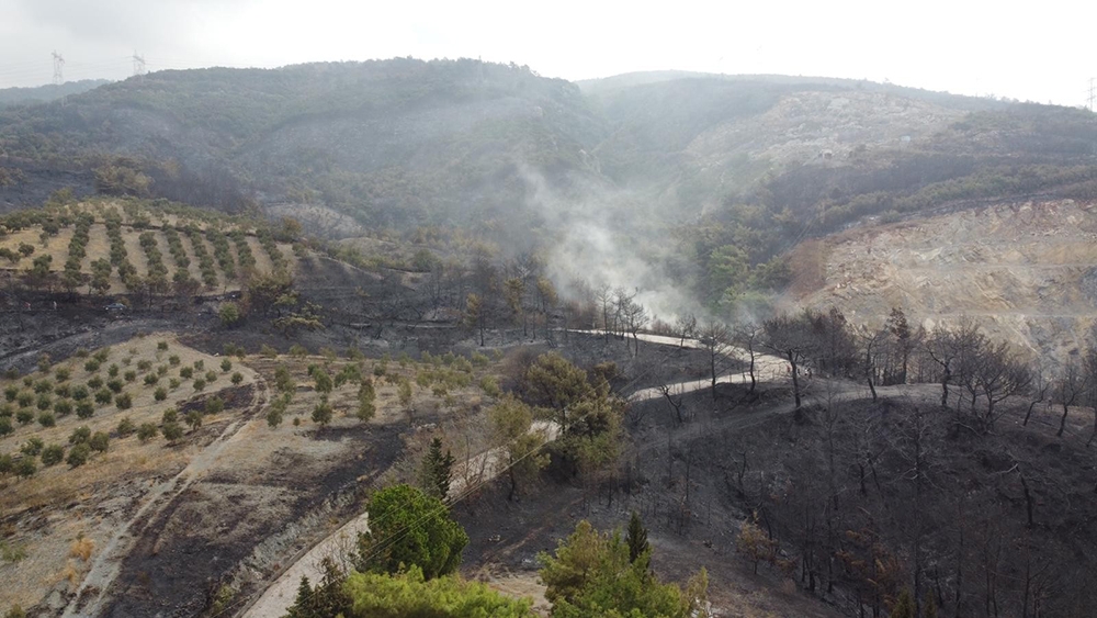 Hatay’ın ciğerleri yanıyor: İşte ortaya çıkan acı tablo
