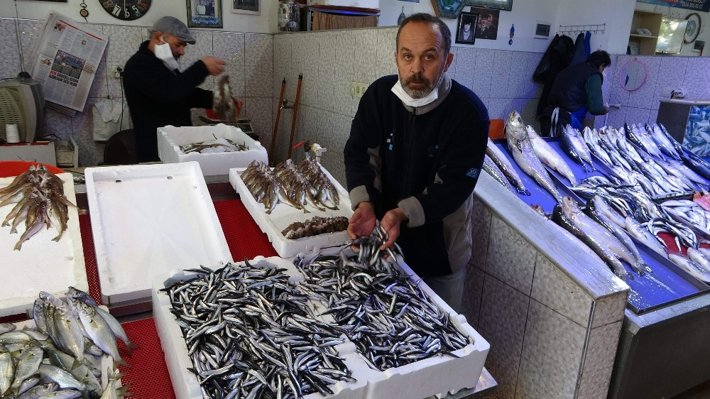 Hava muhalefeti nedeniyle hamsinin fiyatı yükselişe geçti