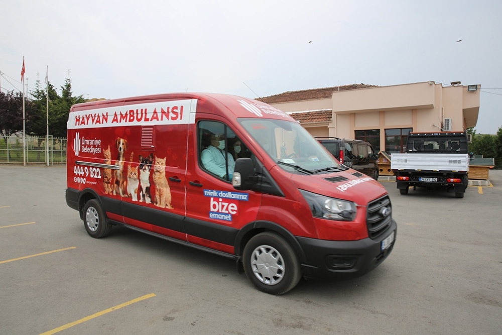 Hayvan ambulansı minik dostlar için hizmete başladı