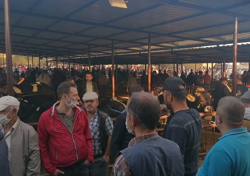 Hayvan pazarlarında iğne atsan yere düşmez görüntüler oluştu