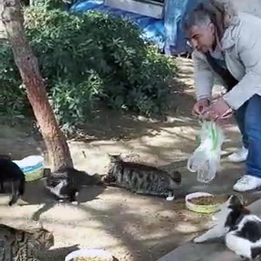Hayvansever, sokak hayvanlarını beslemek için evinden çıktı