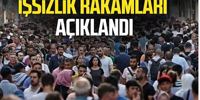 Haziran ayı işsizlik rakamları açıklandı
