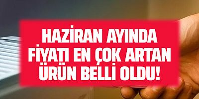 Haziran ayında fiyatı en çok artan ürün belli oldu!