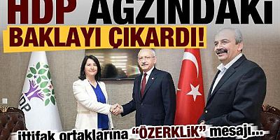 HDP ağzındaki baklayı çıkardı! İttifak ortaklarına 