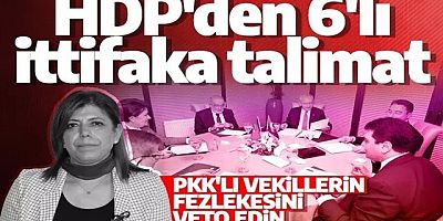 HDP'den muhalefete fezleke çağrısı