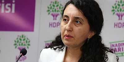 HDP'li Ebru Günay polise ve askere tecavüz iftirası attı