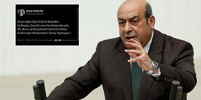 HDP'li Hasip Kaplan'dan Kılıçdaroğlu'na 'Oğan' ayarı: HDP'lileri küstürüp yanlış yapma