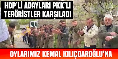 HDP'li milletvekili adayları, PKK'lı teröristler tarafından karşılandı