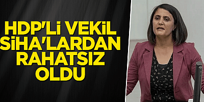 HDP milletvekili: SİHA'lar bir sorun!