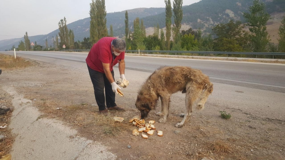 Her gün aynı yerde onu bekliyor