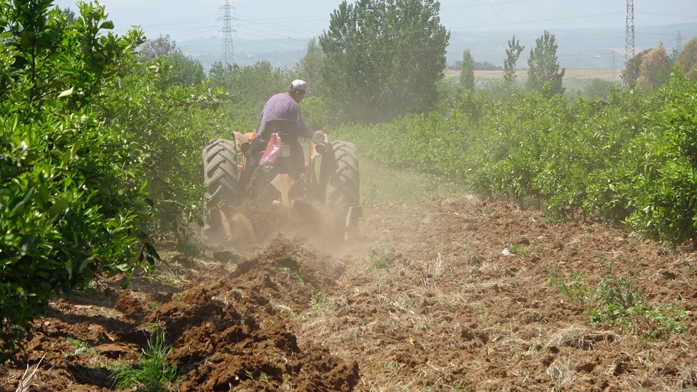 Herkes evde kalıyor, çiftçiler alın teri döküyor