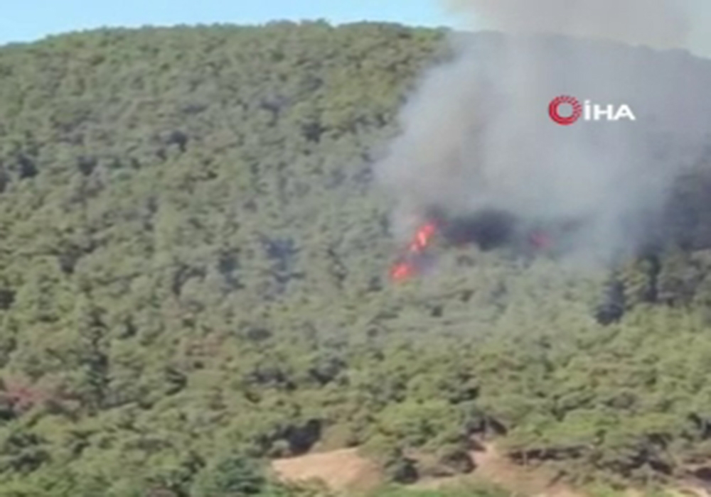 Heybeliada’daki yangına çok sayıda araç ve helikopterle müdahale edildi