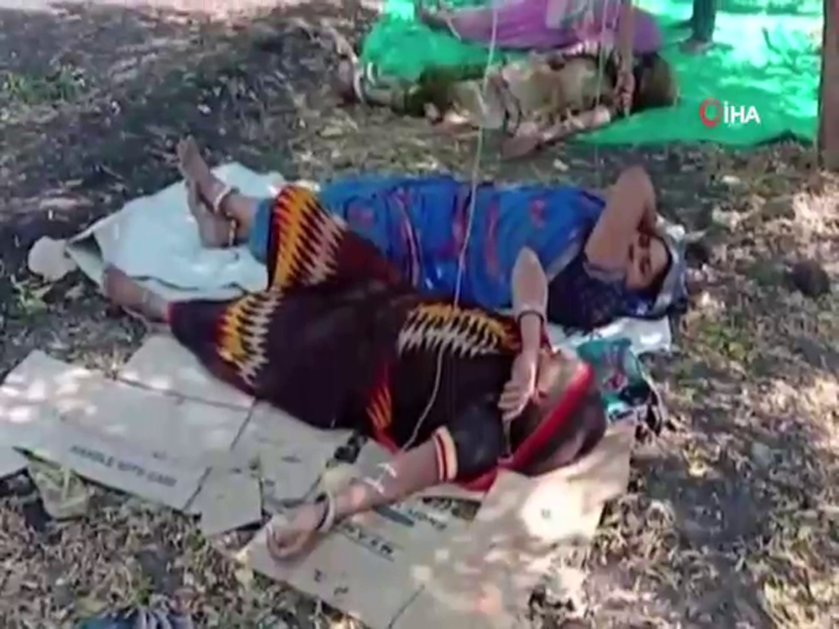 Hindistan’da Covid-19 hastaları portakal bahçelerinde tedavi görüyor