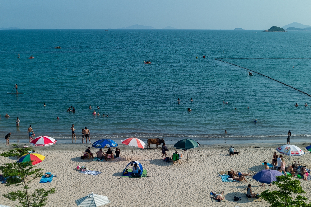 Hong Kong’da korona virüse rağmen halk, plajlara akın etti